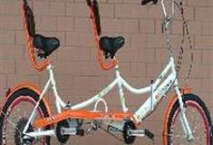 上海共青国家森林公园：双人情侣车