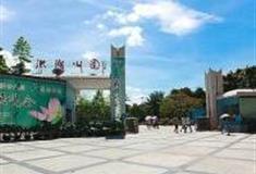 深圳洪湖公园怎么玩？附游玩路线