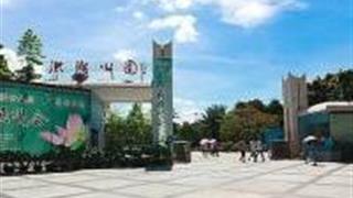 深圳洪湖公园怎么玩？附游玩路线