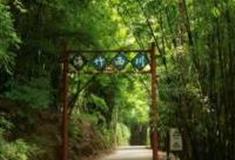 成都芦沟竹海怎么玩？附游玩路线