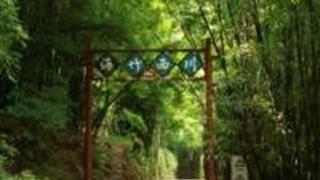 成都芦沟竹海怎么玩?附游玩路线 成都芦沟竹海怎么玩?附游玩路线