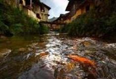 宁德鲤鱼溪景区怎么玩？附游玩路线