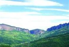 广元翠云廊怎么玩？附游玩路线