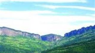 广元翠云廊怎么玩?附游玩路线 广元翠云廊怎么玩?附游玩路线