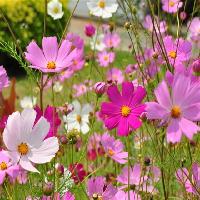 宝晶宫风景名胜区18749