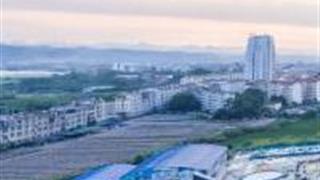 百色田东湿地公园怎么玩？附游玩路线