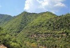 莲花岩：虎守元宝山