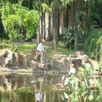 上海共青国家森林公园石矶垂钓