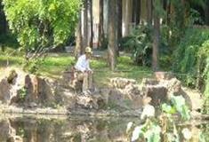 上海共青国家森林公园：石矶垂钓