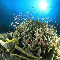 小梅沙海洋世界17666