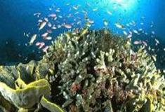 小梅沙海洋世界：幻游海洋馆