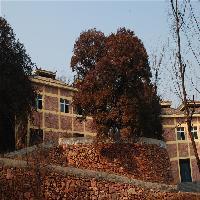 伏羲山神仙洞19525