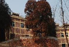 伏羲山神仙洞：私人别墅