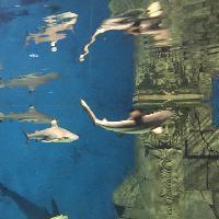 江苏张家港梦幻海洋王国19683