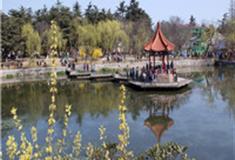 青岛中山公园怎么玩？附游玩路线