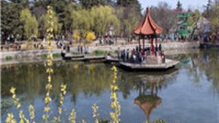 青岛中山公园怎么玩？附游玩路线