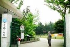 上海曹杨公园怎么玩？附游玩路线