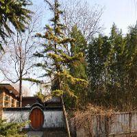 北京陶然亭公园17928