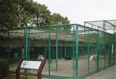 苏州江南农耕文化园：孔雀园