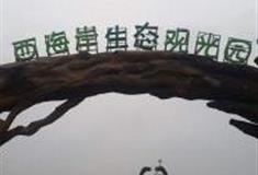 青岛西海岸生态观光园怎么玩？附游玩路线