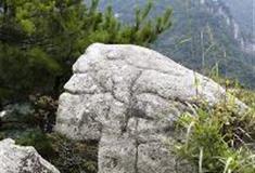 白马尖：龟背搬家