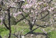 嘉兴浙北桃花岛怎么玩？附游玩路线