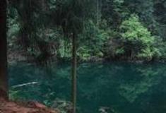 重庆大圆洞国家森林公园怎么玩？附游玩路线