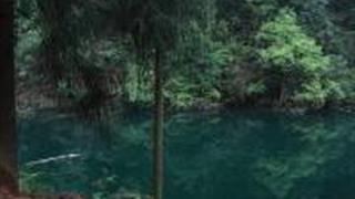 重庆大圆洞国家森林公园怎么玩？附游玩路线