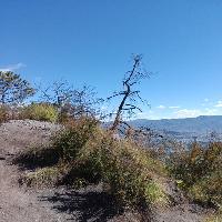 拉市海湿地公园19315