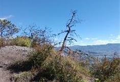 拉市海湿地公园：观景台