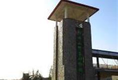 邯郸佛山野生动物园怎么玩？附游玩路线