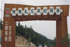 绍兴上虞二都杨梅生态园怎么玩？附游玩路线