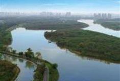 成都青龙湖湿地公园怎么玩？附游玩路线