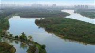 成都青龙湖湿地公园怎么玩？附游玩路线