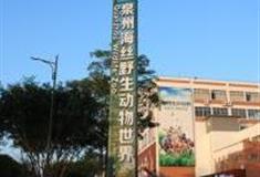 泉州海丝野生动物世界怎么玩？附游玩路线