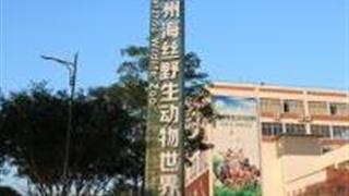 泉州海丝野生动物世界怎么玩？附游玩路线