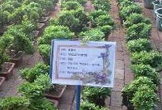 中北镇：雷庄庄园