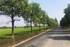 上海嘉北郊野公园怎么玩？附游玩路线