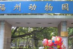 福州动物园怎么玩？附游玩路线