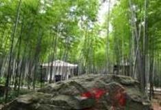 重庆十面埋伏景区怎么玩？附游玩路线