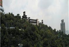 武汉龟山公园怎么玩？附游玩路线