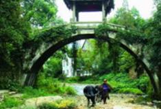 金华郭洞古生态村景区怎么玩？附游玩路线