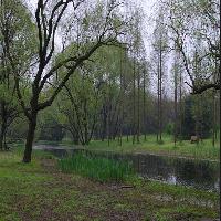 上海共青国家森林公园17719