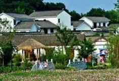 南京不老村怎么玩？附游玩路线