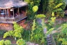 重庆大来山树屋怎么玩？附游玩路线