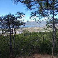 拉市海湿地公园19317