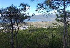 拉市海湿地公园：望海坡