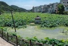 金华浦江嵩溪村怎么玩？附游玩路线