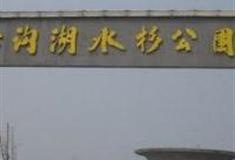 徐州沙沟湖水杉公园怎么玩？附游玩路线