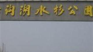 徐州沙沟湖水杉公园怎么玩？附游玩路线